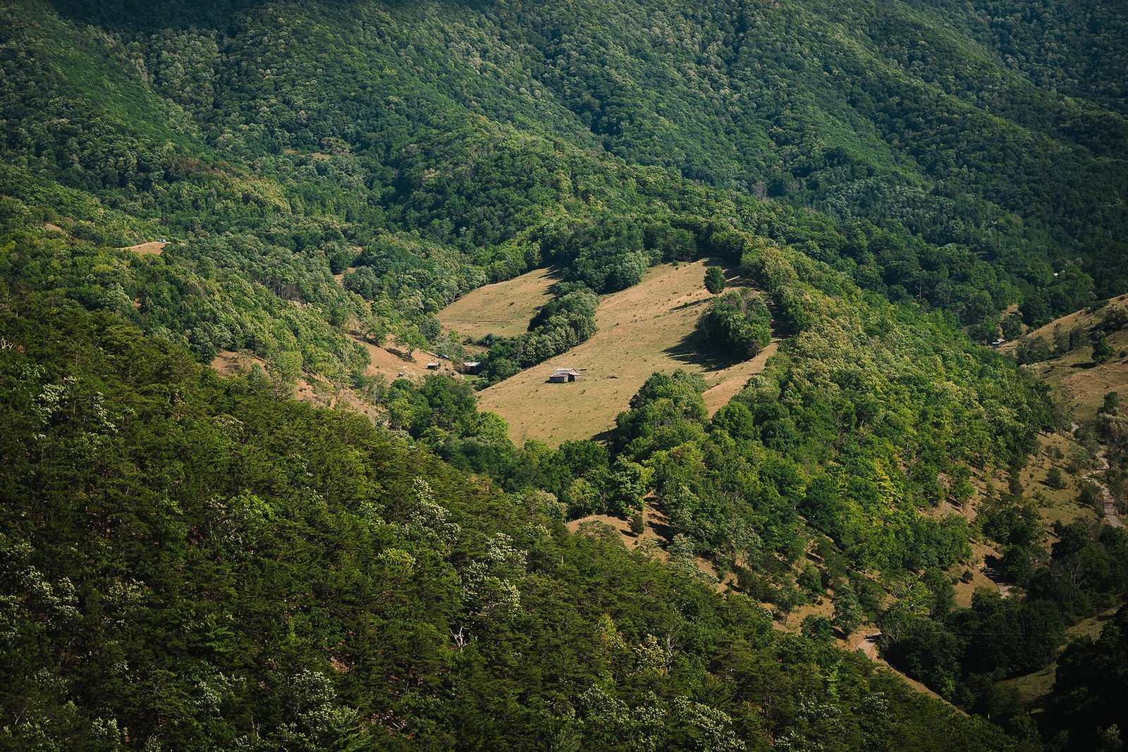 Discovery phase visual with broad aerial perspective